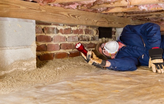 Decor inspection article diy