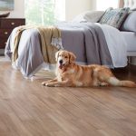 Flooring dogs pets floors flooringinc dog hardwood pet durable friendly floor wood most vinyl tips article ziskin ari inc choose