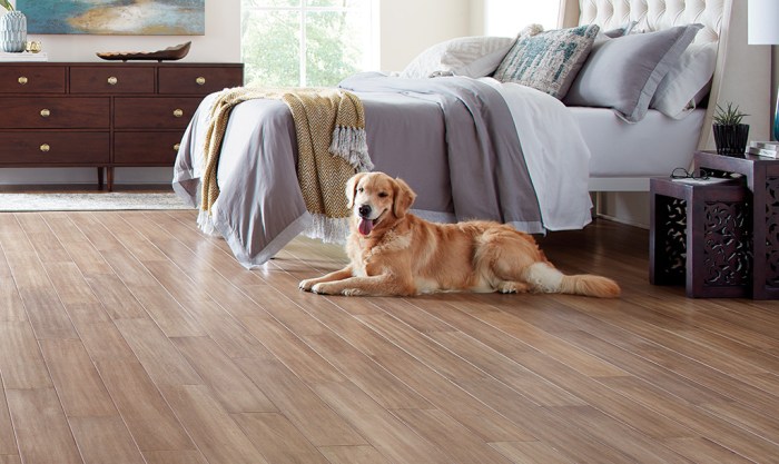 Flooring dogs pets floors flooringinc dog hardwood pet durable friendly floor wood most vinyl tips article ziskin ari inc choose
